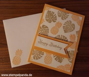 Stampin up incolor 2016 2018 pop of paradise