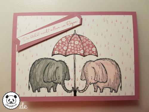 Stempelpanda, Stampin Up, SU, Donnerwetter, Weather together, Love you Lots